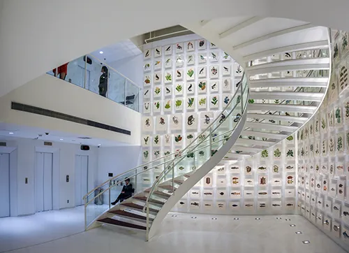 itau cultural